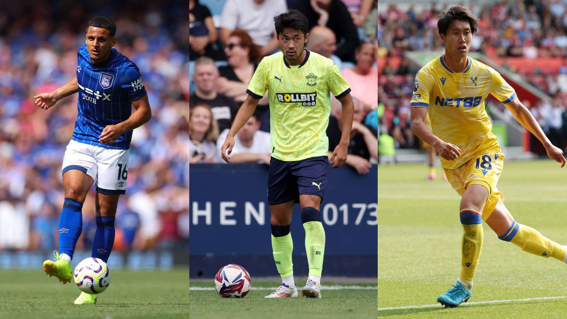 王治郅无疑 王治郅无疑