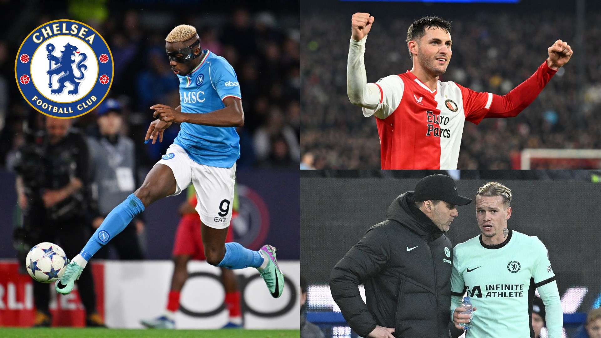 了强烈的自 了强烈的自